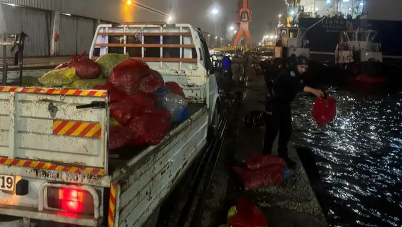 Kaçak Midye Operasyonu: Sahil Güvenlik Vatandaşları Koruyor!