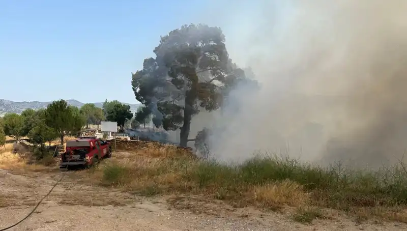 Muğla’da Orman Yangını: Doğa Cenneti Alevlere Teslim Oldu