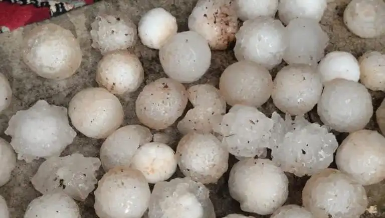Şanlıurfa'da Kışın İlk Dolu Olayı, Tarım Ürünlerine Zarar Verd mi?
