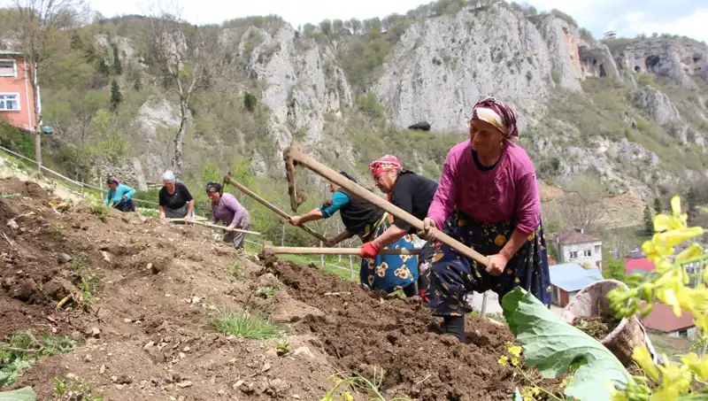 Zorlu Mesai: Sırtlarında Sepetler, Ellerinde Kazmalar ile Çalışanlar