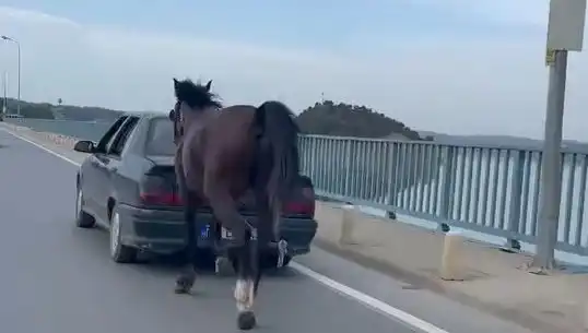 Adana'da Ata Eziyet Skandalı: Tutuklama Şoku!
