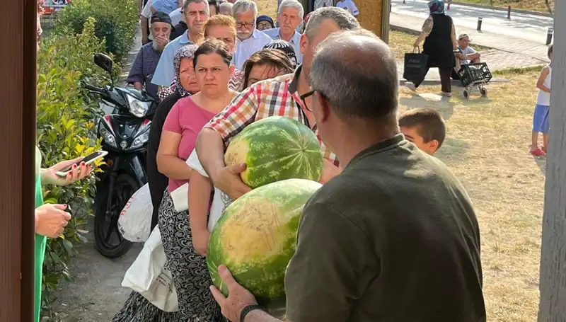 Tarlada Bekleyen Hasat: Ürünler Bedava Dağıtılıyor, Neden Bu Durum?