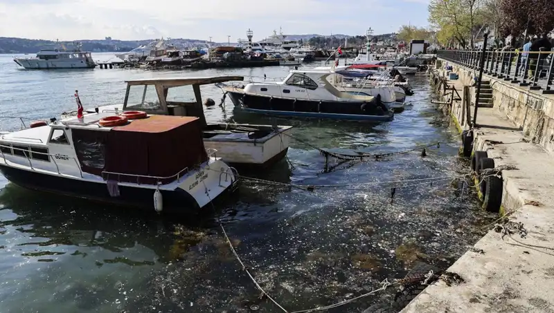 İstanbul’a Müsilaj Alarmı: Denizdeki Tehlike Yeniden Kapıda!