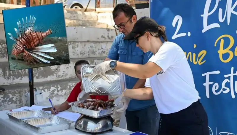 Antalya'da Aslan Balığı Avlama Yarışması: Doğayı Koruma Mücadelesi