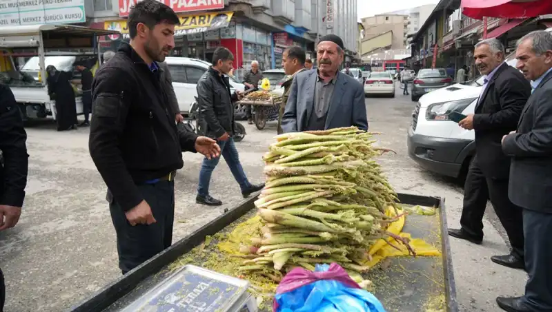 Dağlık Alanlardan Toplanan Şeker, Kanser ve Mide Hastalıklarına Şifa Oluyor
