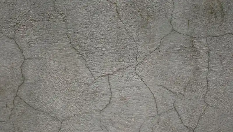 Canlı Beton: Geleceğin İnşaat Malzemeleri Arasındaki Devrim