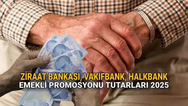2025'te Kamu Bankalarından Emeklilere Promosyon Fırtınası!