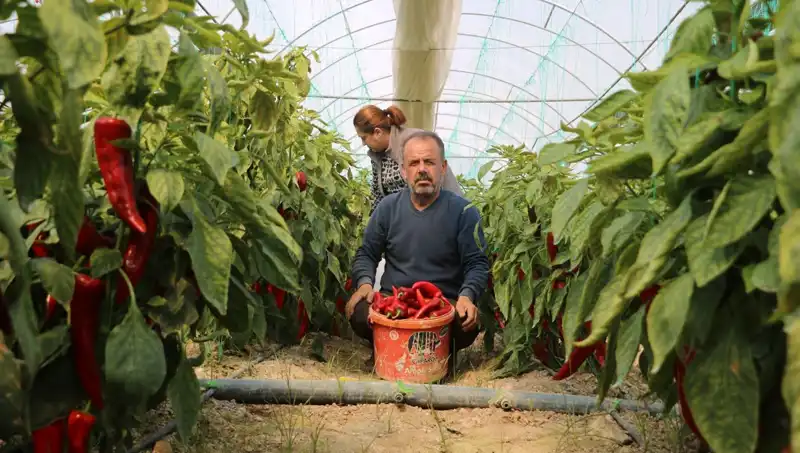 Fiyat Arttı! 50 TL'lik Ürün 80 TL'ye Satışta