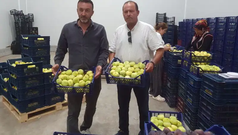 Mersinli Çiftçilerin Yüzü Güldü: 20 TL'den İhraç Ediliyor