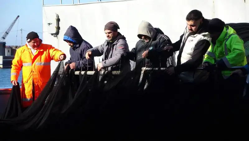 Denizlerde Hamsi Stoku Tükendi: Balıkçılar Erken Sezonu Noktaladı