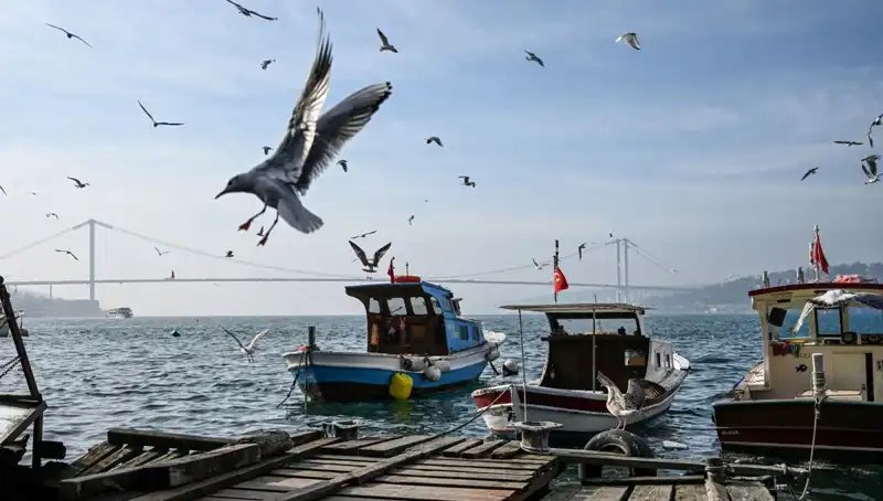 İstanbul'da Bahar Havası: Hava Açılıyor, Tarih Belli Oldu!
