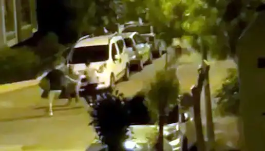 Avcılar'da İki Kadın ve Bir Adamın Saldırdığı Vatandaşı Herkes Kurtardı