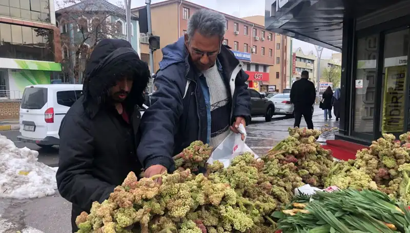 Kendiliğinden Yetişen Vitamin Deposuyla Kanserle Mücadele: Yeni Bir Umut