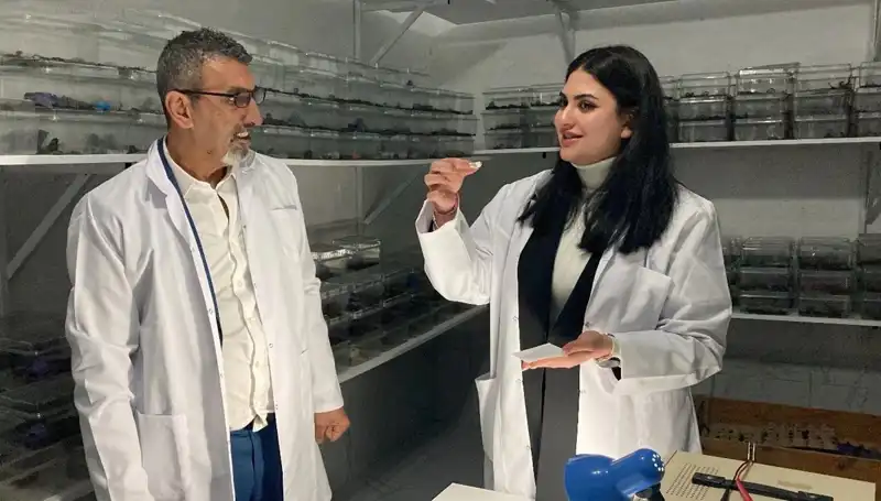 Akrep Zehri ve Şeker: Tüketimiyle İlgili Şaşırtıcı Gerçekler