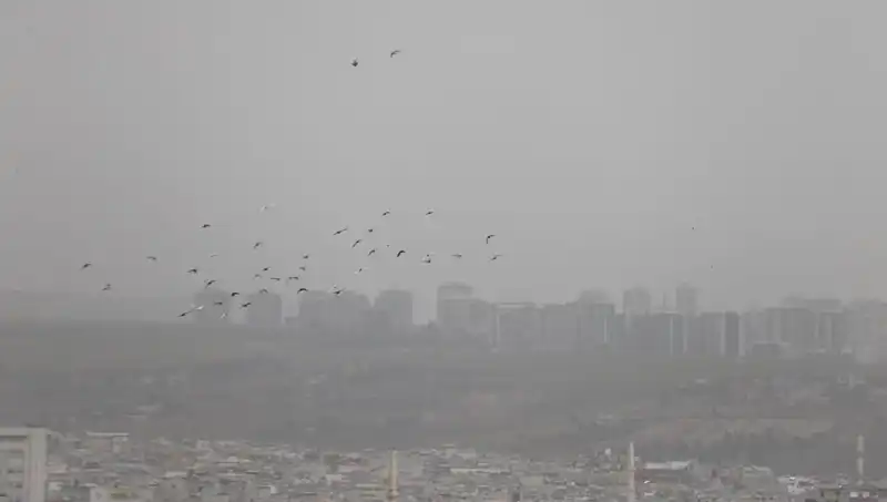 Şanlıurfa’da Toz Bulutu Alarmı: Göz Gözü Görmüyor!