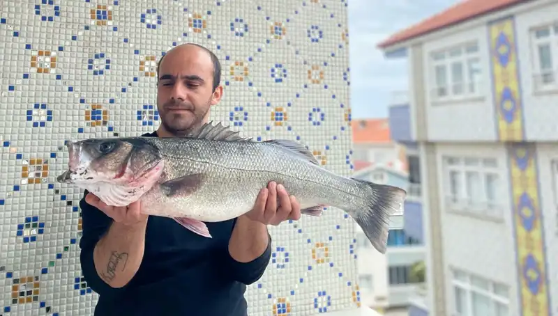 7.5 Kiloluk Dev Levrek: Balıkçıların Hayalini Gerçekleştiren O An