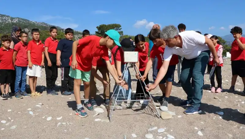 Kemer'de Caretta Caretta Koruma Yasakları Başladı: Turizmi Nasıl Etkileyecek?