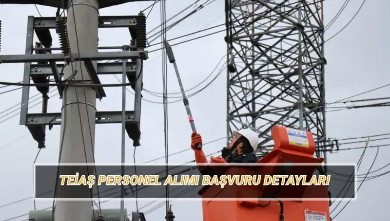 TEİAŞ Personel Alımı: Başvuru Tarihleri ve Şartları Açıklandı!