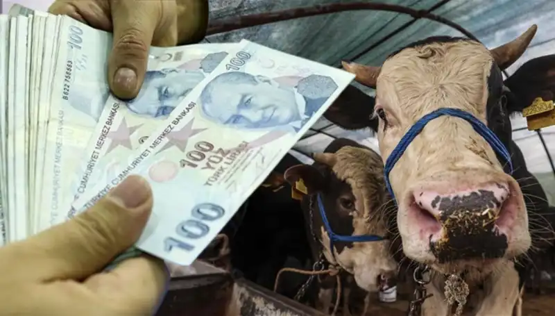 Kurban Bayramı’nda Emekli ve Memur Maaşları Ne Zaman Yatacak?