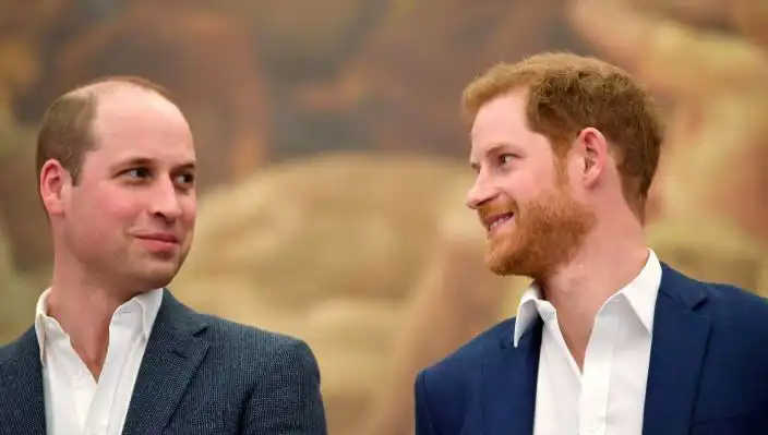 Prens Harry ve Prens William Arasındaki Küslük Monarşinin Geleceğini Tehlikeye Atıyor