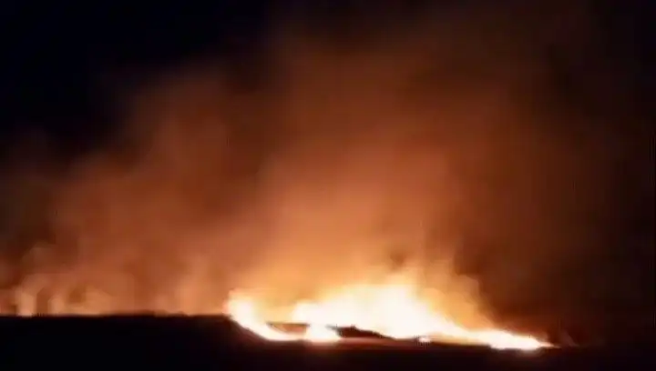 Tekirdağ'da 20 Dekar Buğday Alanı Kül Oldu: Yangının Sebepleri Neler?