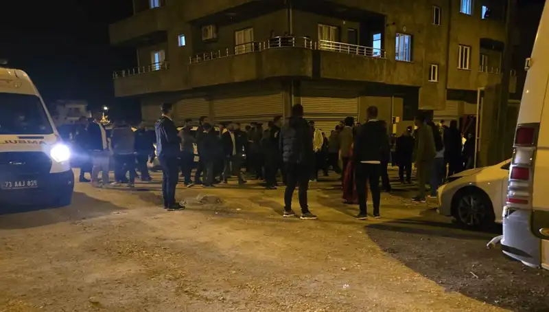 Şırnak'ta Taşlı Sopalı Kavga: 4 Yaralı ve Gözaltılar