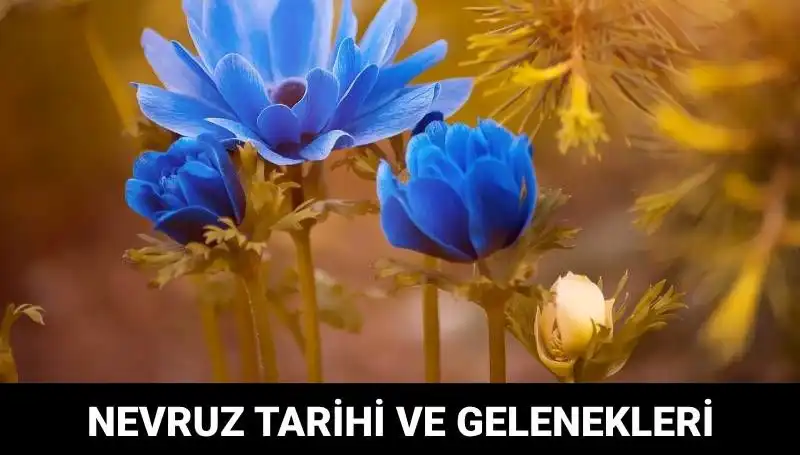 Nevruz Bayramı: Tarihi ve Gelenekleriyle Yenilenen Umutlar