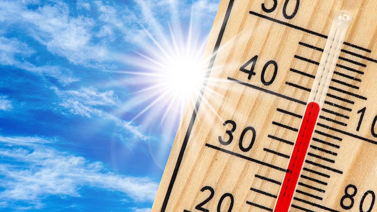 2024 Dünya'yı Sıcak Bir Yıl Olarak Geride Bıraktı