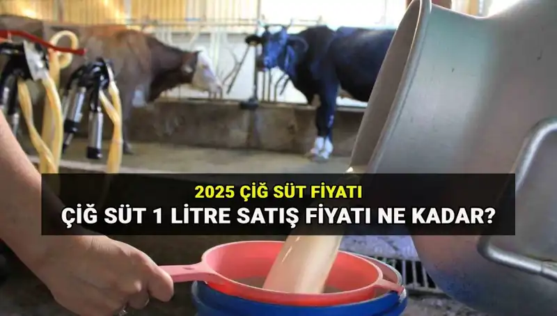 Çiğ Süt Fiyatları 2025: Ulusal Süt Konseyi'nden Şok Edici Rakamlar!