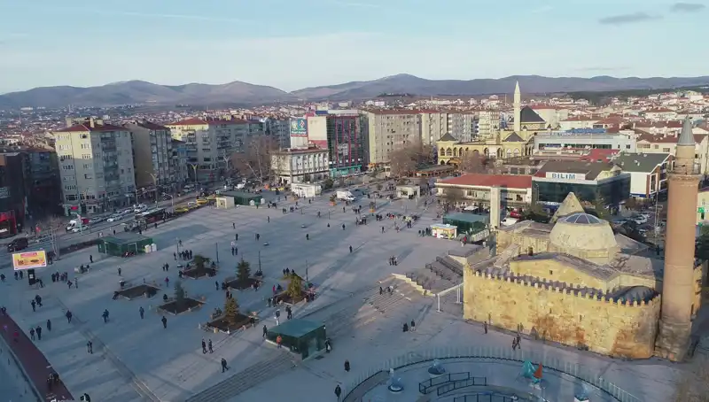Kırşehir’de Bilim Dünyasını Sarstı: Yeni Böcek Türü Keşfedildi