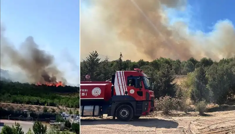 Gebze'de Korkutan Orman Yangını: Sebepleri ve Son Durum
