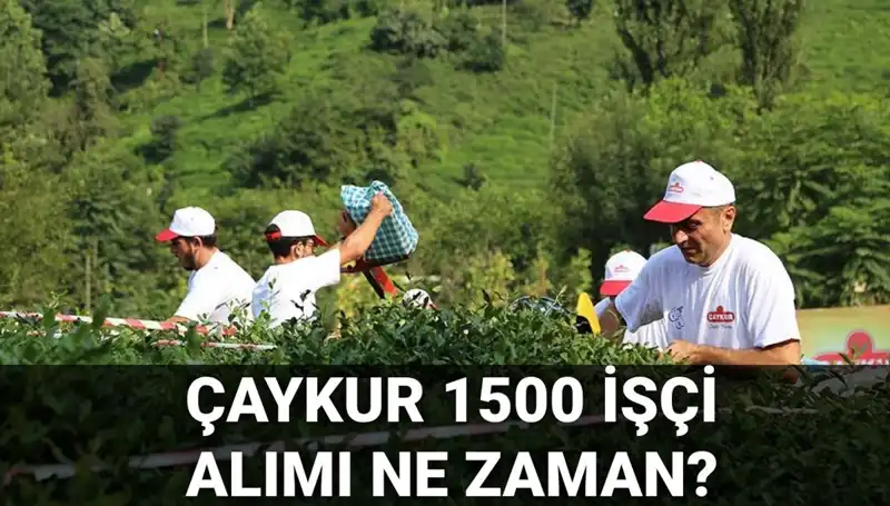 ÇAYKUR İşçi Alımı Kura Çekimi: Tarih ve Detaylar Belli Oldu!