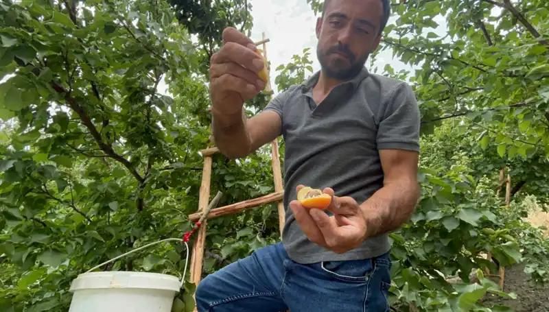 Damak Çatlatan Lezzet: 50 TL ile 70 TL Arasında Satılan Ürün Nedir?
