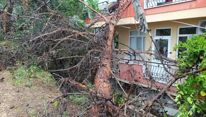 Yağmura Dayanamayan Bina Çöktü: O Anlar Kameralara Yansıdı