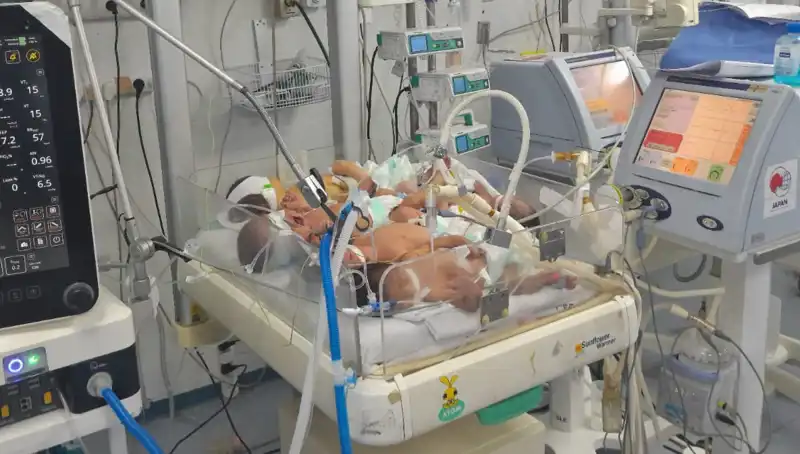 Gazzeli Doktorlar Çaresizlik İçinde: Tek Kuvözde Birden Fazla Bebek