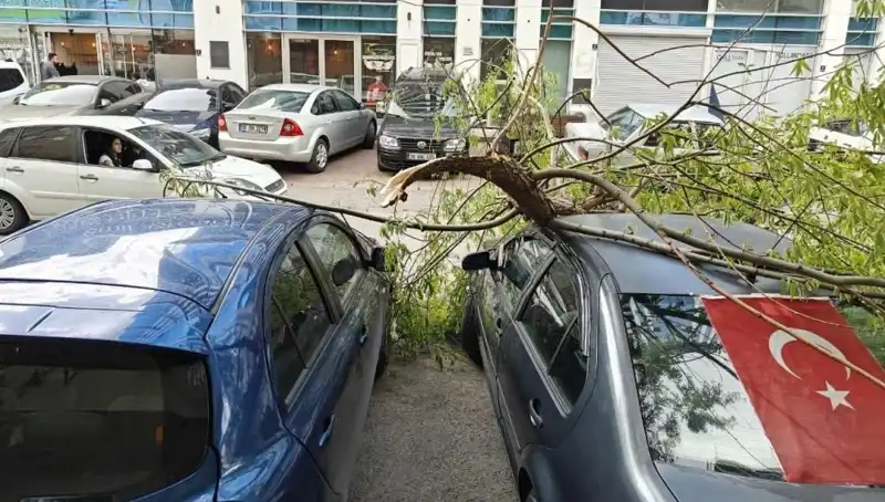 Kayseri'de Fırtına Dalları Kırdı: Şehirdeki Etkileri ve Önlemler