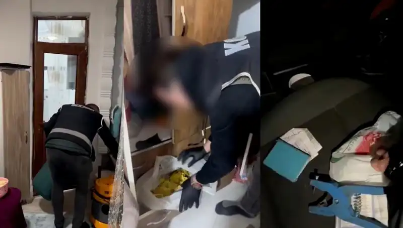 Hayvan Sevk Belgesi Usulsüzlüğü: Operasyonla Dokuz Kişi Gözaltına Alındı