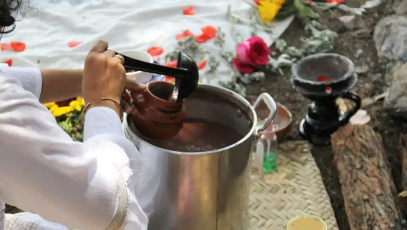 Ayahuasca Çayı: Faydaları, Yasakları ve Bilinmeyen Gerçekler