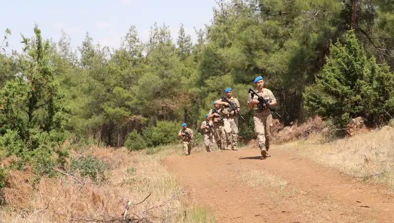 Kilis’te Orman Yangınlarına Karşı Sıkı Denetim ve Önlemler Alınıyor