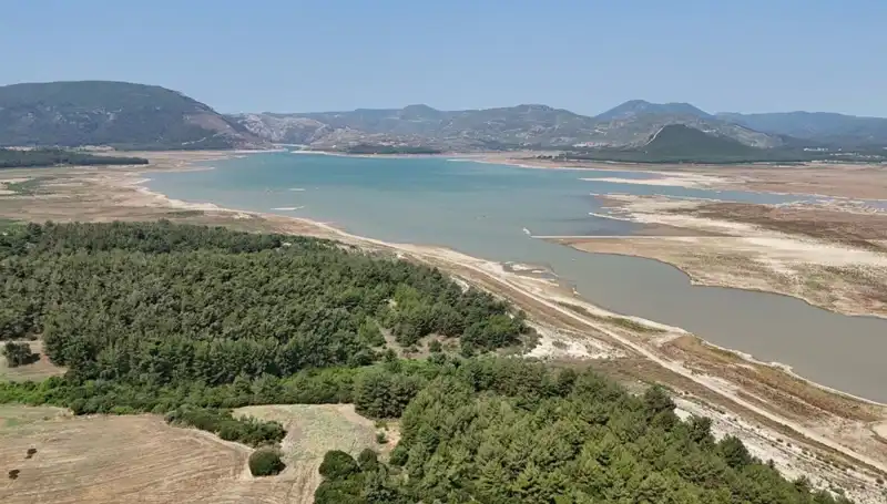 İzmir'de Tehlike Çanları Çalıyor: Geçen Yıl Yüzde 50 Düşüş Neden?