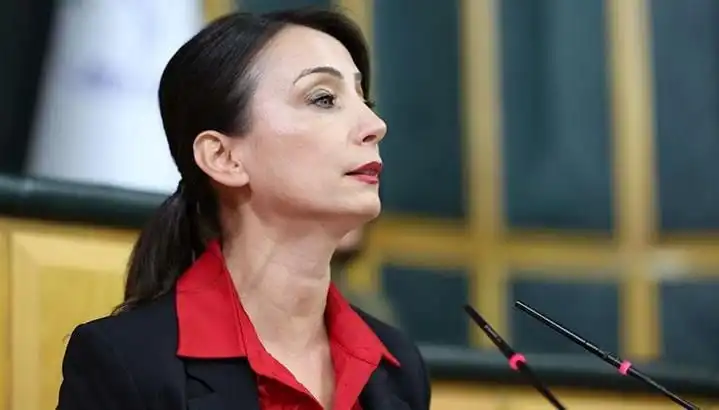Öcalan'ın Silah Bırakma Çağrısı: DEM Parti'nin Siyasi Turuna Dikkat!