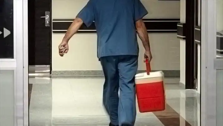 Organ Bağışında Yeni Dönem: e-Devlet ve e-Nabız İle Kolay Başvuru Süreci