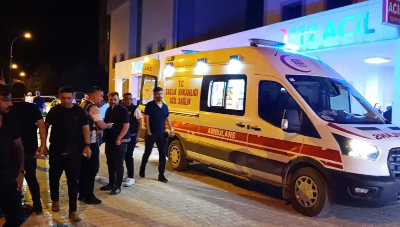 Kardeşler Arasında Patlayan Kavga, Hayatı Değiştiren Trajik Olay