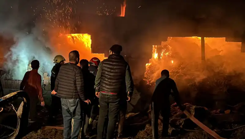 Bolu'da Korkutan Ahır Yangını: Hayvanlar ve Emlak Tehlikede!