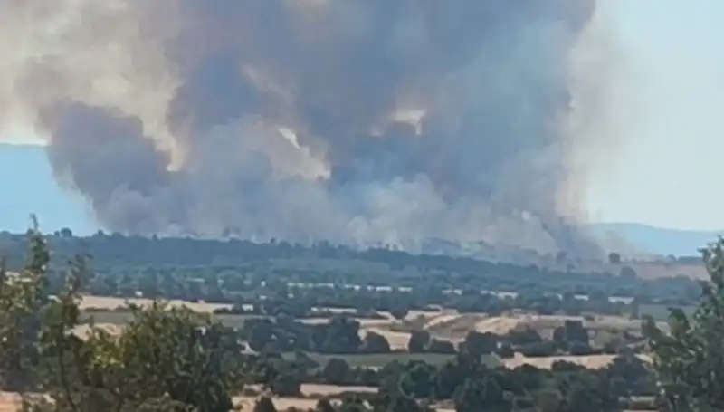 Komşu Orman Yangını Edirne'de Korku Saçtı: Dumanlar Dört Bir Tarafı Sarmaladı