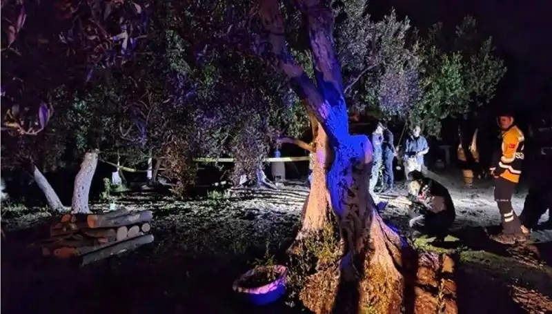 Çiftlikteki Baltalı Vahşet Olayında Sıcak Gelişme: Bir Tutuklama Gerçekleşti