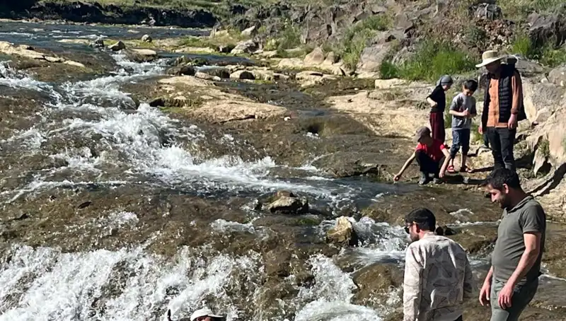 İnci Kefali Göçü: Doğa Tutkunlarının Gözdesi Binlerce Kilometre Yolculuk