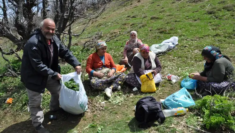 Her Adımda Umut: Yol Yürüyerek Toplanan Fıstık Kastamonu'yu Besliyor