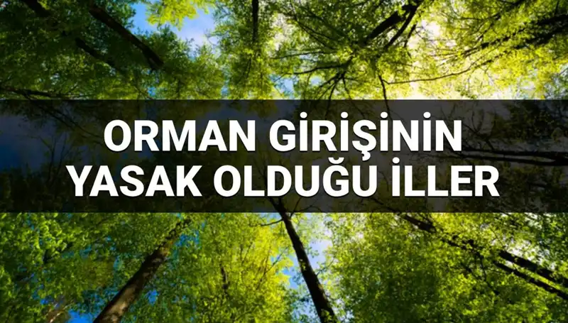 2025'te Ormana Girişin Yasaklandığı İller Hangileri?