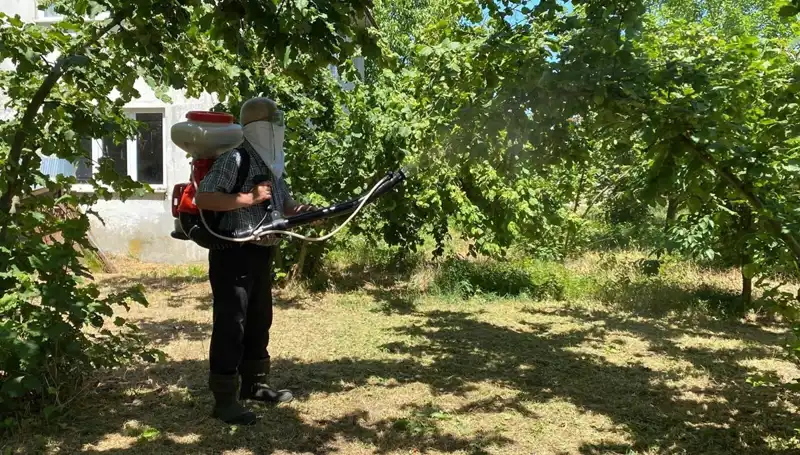 Kükürt ve Samuray Arısının Birleşimi: Çiftçilerin Umudu Nedir?